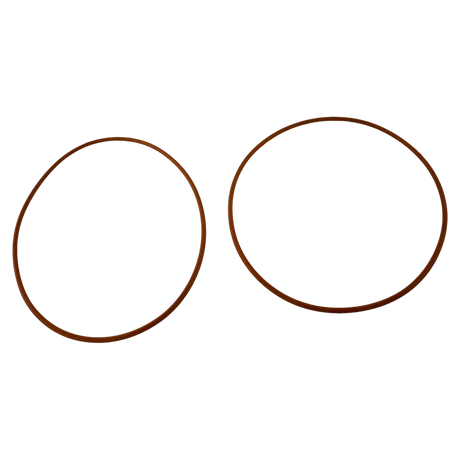 Raypak 011600F Header O-Ring Gasket Set, 2-Pack