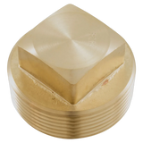 Raypak 013738F Unitherm Governor Plug for Heater