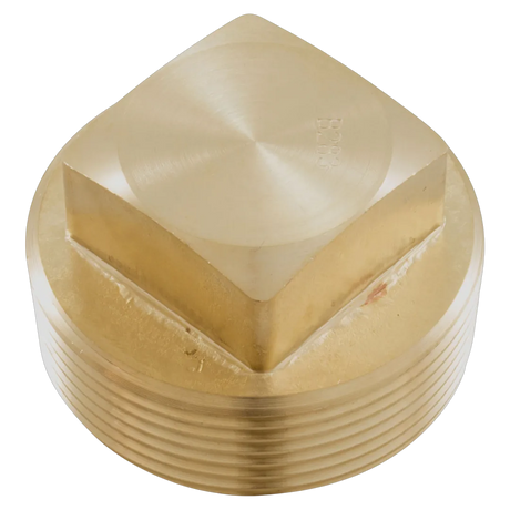 Raypak 013738F Unitherm Governor Plug for Heater