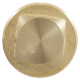 Raypak 013738F Unitherm Governor Plug - Top