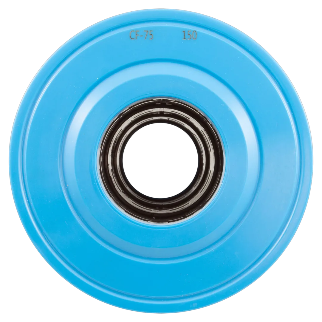 Raypak 018241F Protege RPCFP75 Filter Cartridge - Top