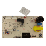 Raypak 100-10000345 PC Control Board for Pool Heaters