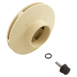 Raypak Protege RPVSP1 Pump Impeller Kit, With Screw — included parts