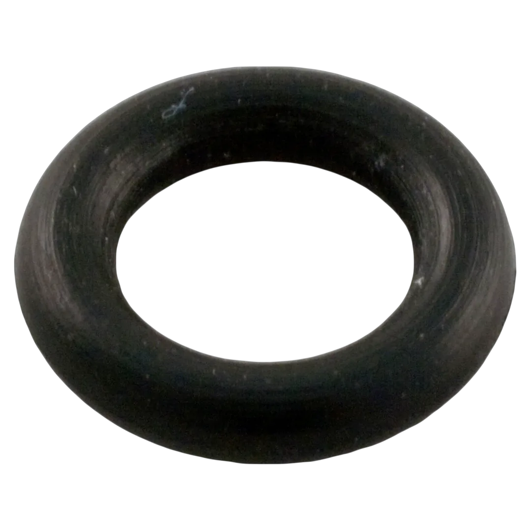 Pentair Gasket Impeller Screw - Oring