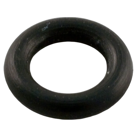 Pentair Gasket Impeller Screw - Oring