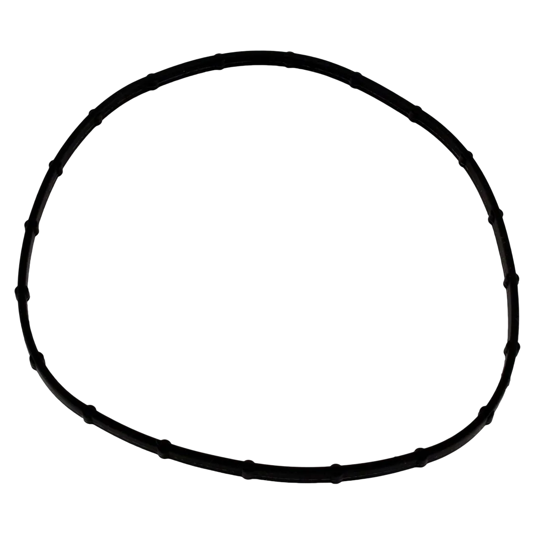 Sta-Rite Sunsaver Light Lens Seal Replacement
