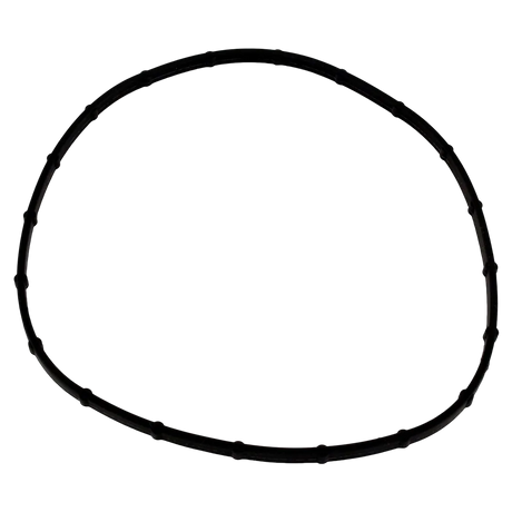 Sta-Rite Sunsaver Light Lens Seal Replacement