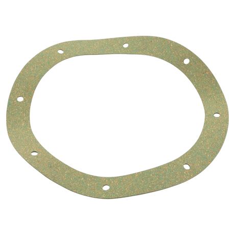 Sta-Rite StarGuard Main Drain Gasket - Reverse