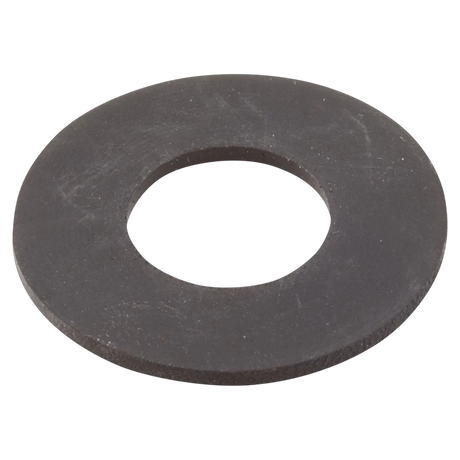 Sta-Rite 17351-0009 Pump Shaft Water Slinger 1/16 in