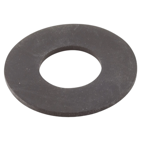 Sta-Rite 17351-0009 Water Slinger - Reverse