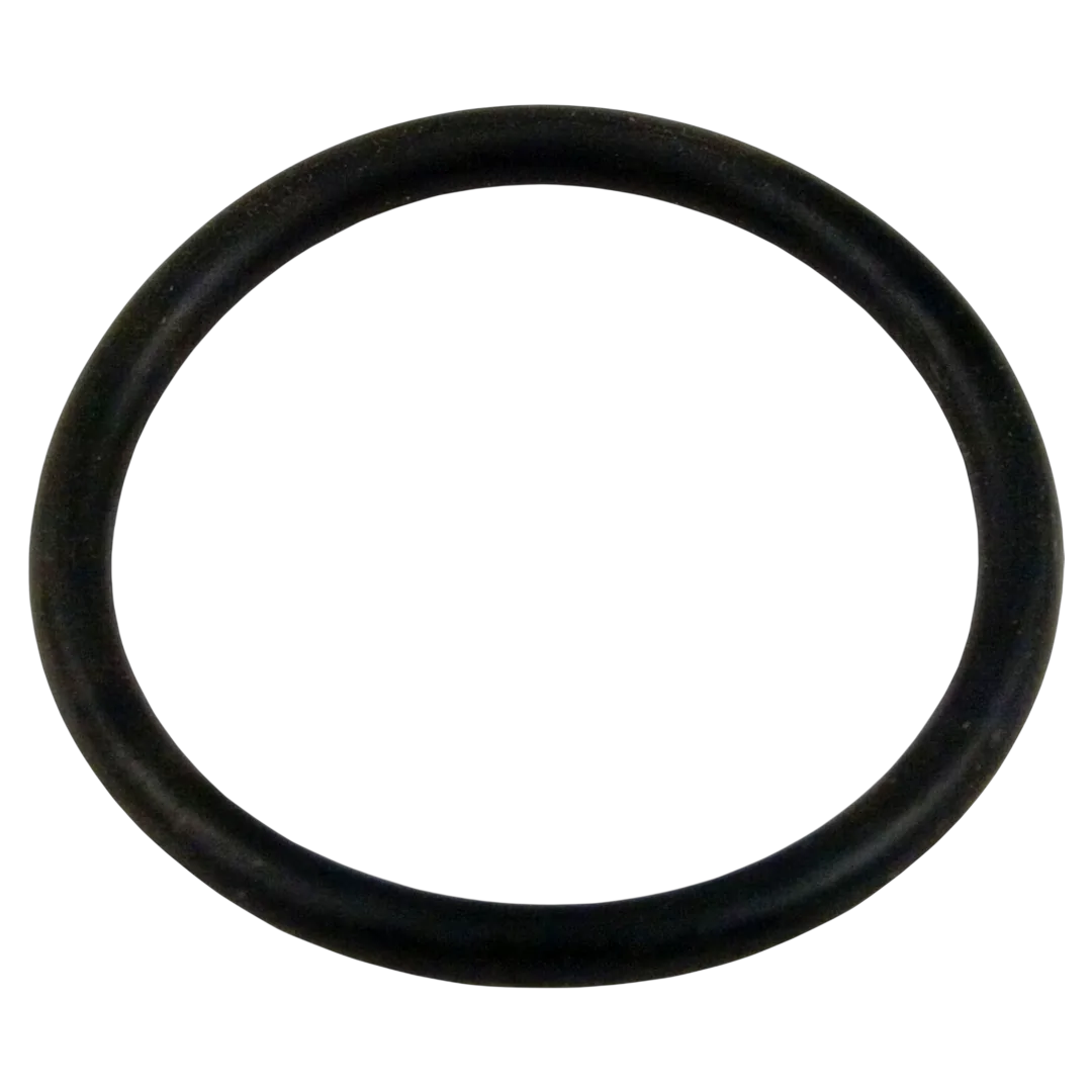 Sta-Rite 35505-1317 O-Ring for Vertical Filters