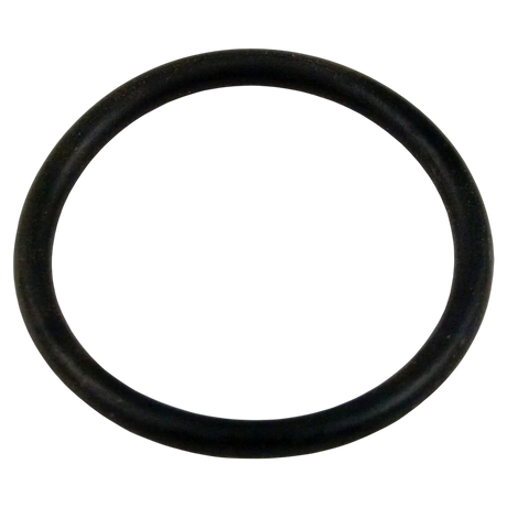 Sta-Rite 35505-1317 O-Ring for Vertical Filters