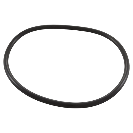Pentair 35505-1440 Pump Lid O-Ring for Max-E-Pro