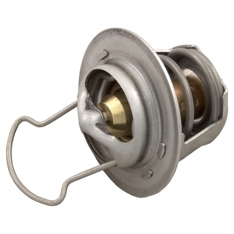 Sta-Rite 38000-0007S Heater Thermal Regulator Clip