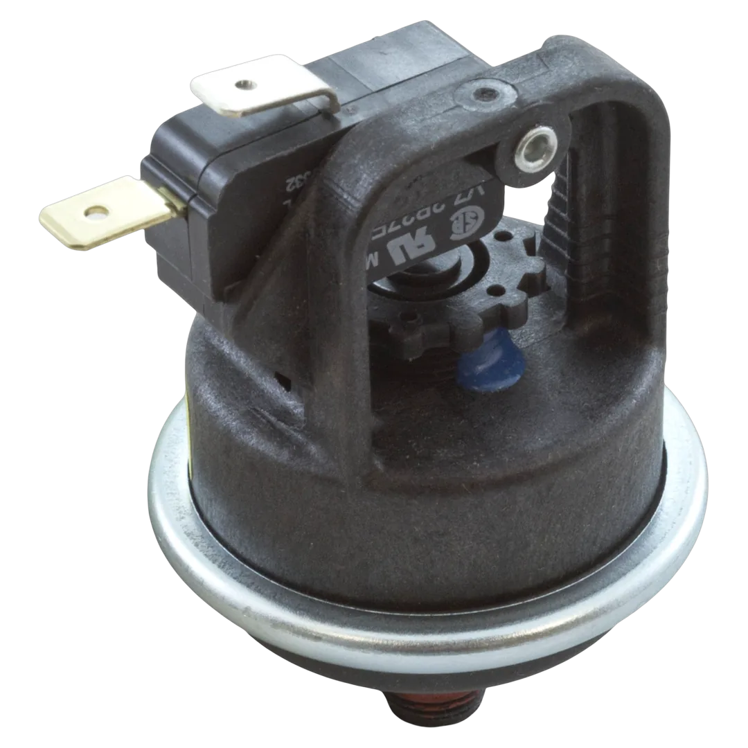 Pentair 42001-0060S MasterTemp Water Pressure Switch
