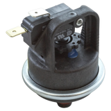 Pentair 42001-0060S MasterTemp Water Pressure Switch