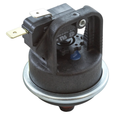 Pentair 42001-0060S MasterTemp Water Pressure Switch