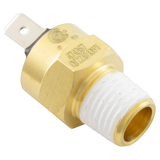Pentair 42001-0063S High Limit Switch for MasterTemp Heater