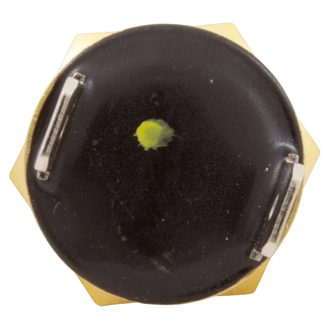 Pentair 42002-0025S Automatic Gas Shutoff Switch - Back