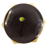Pentair 42002-0025S Automatic Gas Shutoff Switch - Back
