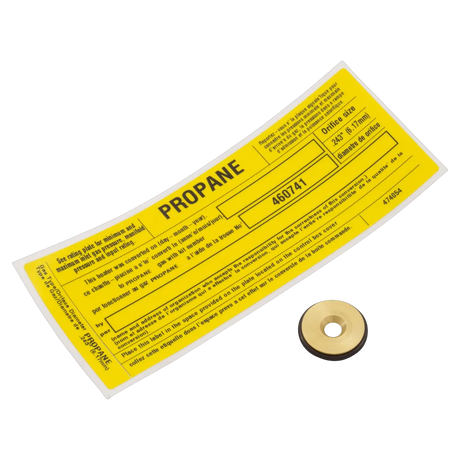 Pentair 460741 Conversion Kit NG to LP 250K BTU