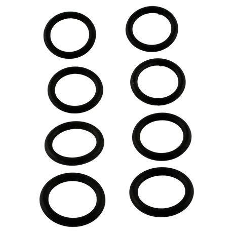 Sta-Rite 460749 O-Ring Kit for Pentair MasterTemp