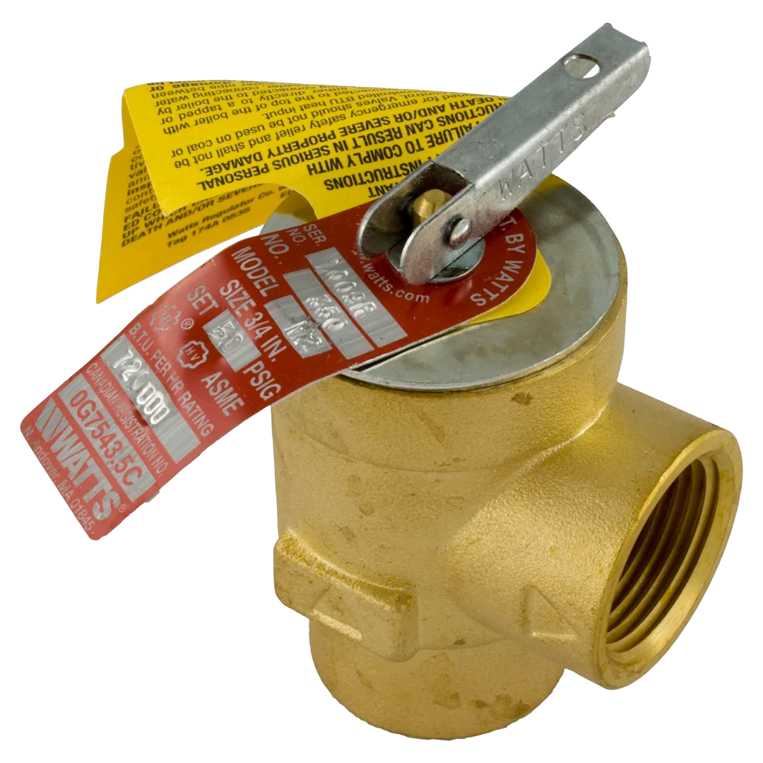 Pentair 473715Z Pressure Relief Valve, 50 PSI