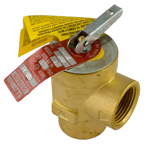 Pentair 473715Z Pressure Relief Valve, 50 PSI