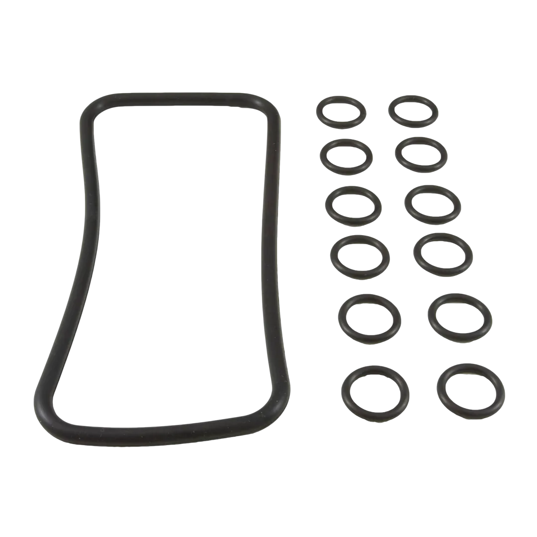 Pentair 77707-0120 Manifold O-Ring Kit for MasterTemp