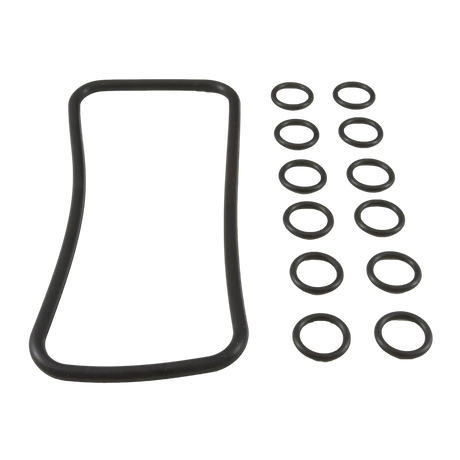 Pentair 77707-0120 Manifold O-Ring Kit for MasterTemp