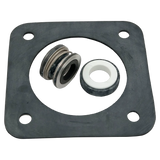 Sta-Rite PP1200 Seal and Gasket Kit for Pumps