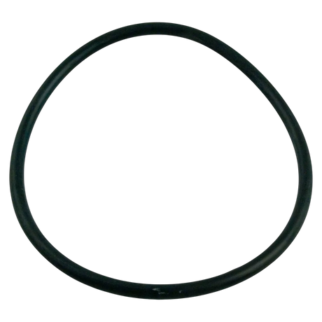Pentair U9-362 Union O-Ring for Sta-Rite System 3