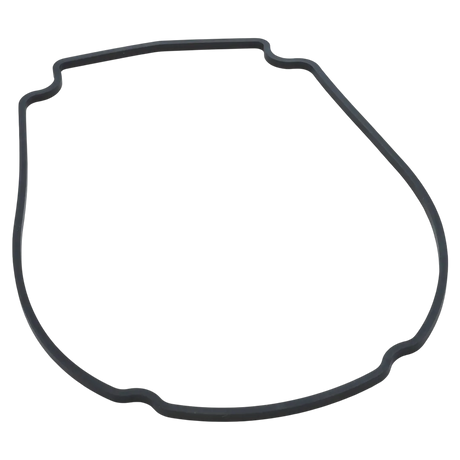 Waterway 806-1400 Faceplate Gasket for pumps