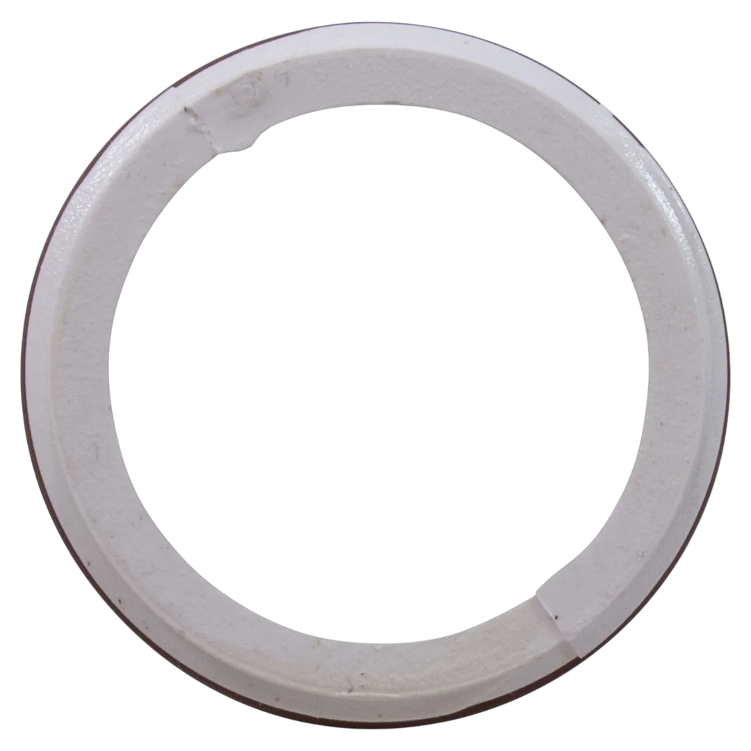 Waterway 212-4700 Retainer Ring with O-Ring - Back