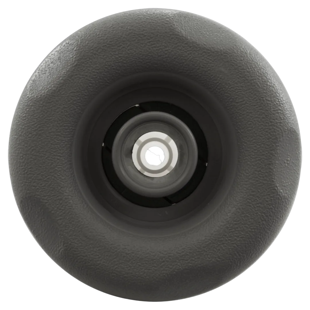 Waterway 229-8167 gray directional jet for spa