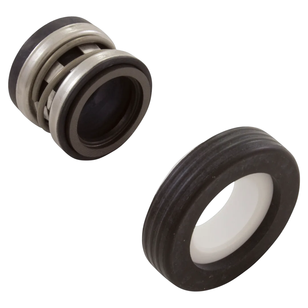 Waterway 319-3290 Booster Pump Seal Replacement