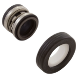 Waterway 319-3290 Booster Pump Seal Replacement