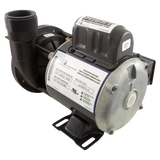 Waterway Iron Might Pump 230 Volt