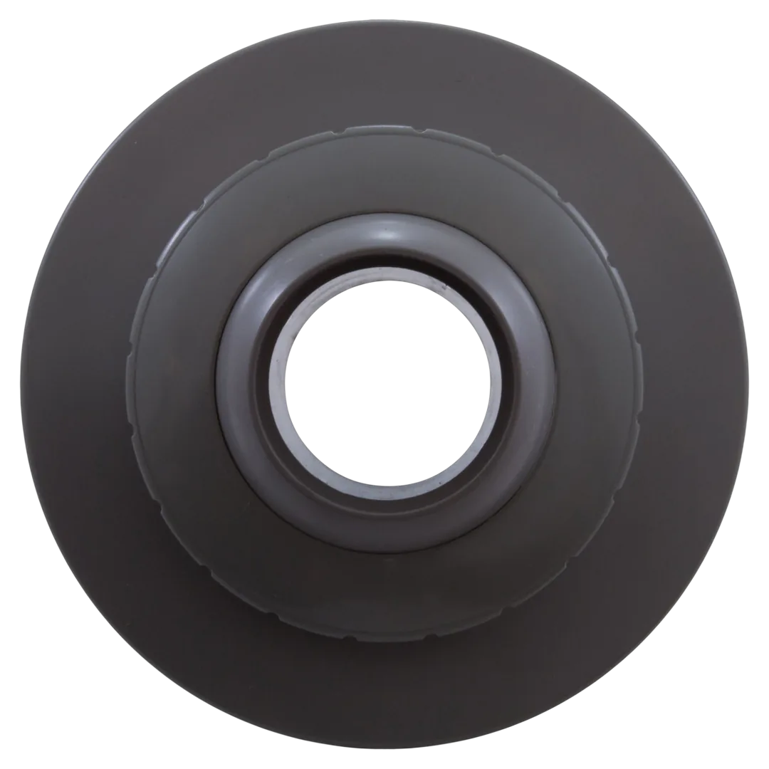 Waterway 550-9347 Gray Eyeball Return Fitting