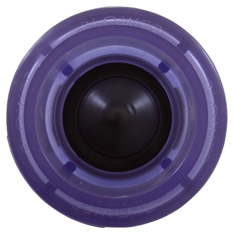 Waterway 600-8160 Air Check Valve - Front