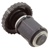 Waterway 605-4370 Plunger and Cap Assembly - Reverse