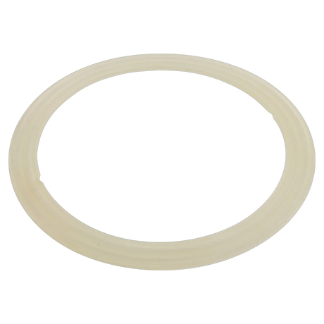 Waterway 711-7300 Old Faithful Jet Gasket - Reverse