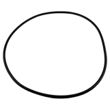Waterway Crystal Water O-Ring 805-0000