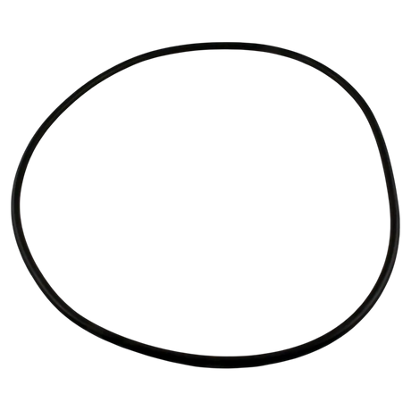 Waterway Crystal Water O-Ring 805-0000