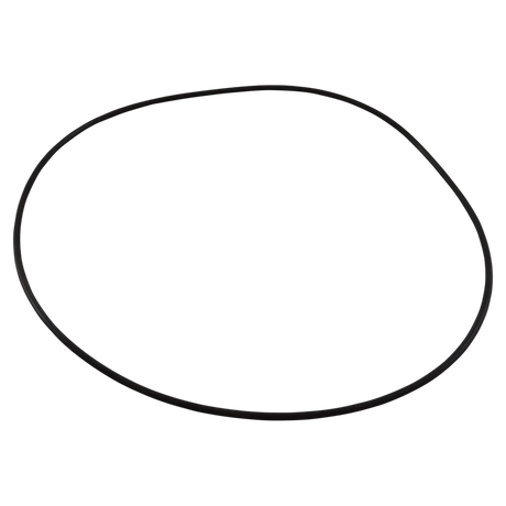Waterway Booster Pump O-Ring 805-0268