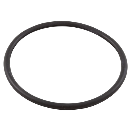 Waterway 805-0435 O-Ring for Sand Filter