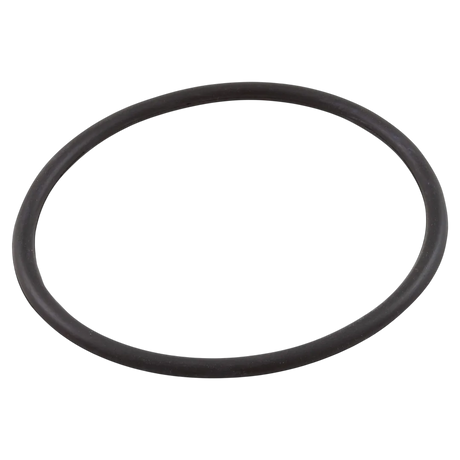 Waterway 805-0435 Sand Filter O-Ring - Reverse
