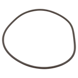 Waterway ProClean Lid O-Ring for Filters