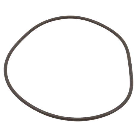 Waterway ProClean Lid O-Ring for Filters