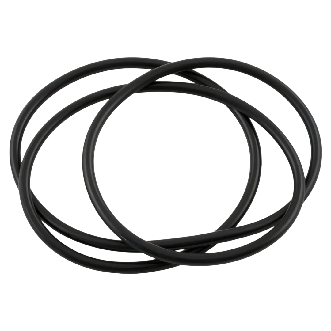 Waterway Clearwater II Lid O-Ring